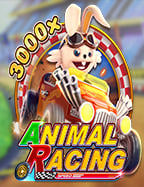 วิธีเล่น dafabet สำหรับมือใหม่ที่ต้องรู้