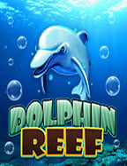 สมัคร sbobet แล้วเล่นยังไงให้มันส์เว่อร์