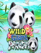 แอ พ joker gaming ambbo register ทำยังไงให้เล่นได้